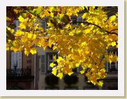 2006-10-21_11-32-20_octobre_132,0mm_1_125_eme_DiMAGE A2 * 2560 x 1920 * (1.45MB)